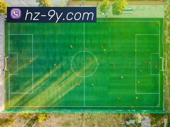 九游官网服务体系